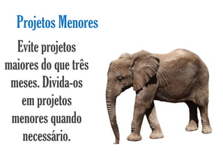 Projetos Menores
  Evite projetos
maiores do que três
 meses. Divida-os
   em projetos
 menores quando
    necessário.
 