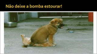  Percebeu que vai dar problema?
 Compartilhe com o grupo, se entendam
 Compartilhe com os professores
 Solicite ajuda!
 Não “sente no problema”!
 