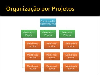 Executivos (RH,
Marketing, etc.)

Gerente do
Projeto

Gerente do
Projeto

Gerente do
Projeto

Membro da
equipe

Membro da
equipe

Membro da
equipe

Membro da
equipe

Membro da
equipe

Membro da
equipe

Membro da
equipe

Membro da
equipe

Membro da
equipe

 