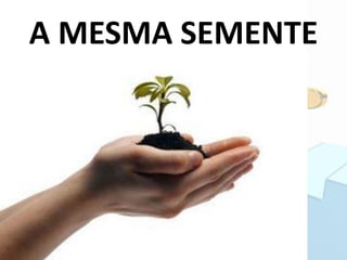A MESMA SEMENTE
 