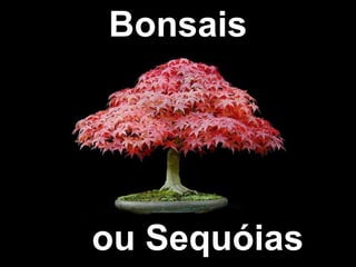Bonsais
ou Sequóias
 