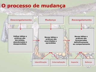 O processo de mudança
Velhas idéias e
práticas são
derretidas,
abandonadas e
desaprendidas
Novas idéias e
práticas são
exercitadas e
aprendidas
Novas idéias e
práticas são
incorporadas
definitivamente
ao comportamento
Identificação Internalização Suporte Reforço
Descongelamento Mudança Recongelamento
 