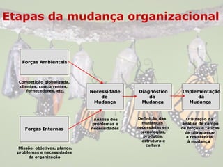Etapas da mudança organizacional
Forças Ambientais
Forças Internas
Necessidade
de
Mudança
Diagnóstico
da
Mudança
Implementação
da
Mudança
Competição globalizada,
clientes, concorrentes,
fornecedores, etc.
Missão, objetivos, planos,
problemas e necessidades
da organização
Análise dos
problemas e
necessidades
Definição das
mudanças
necessárias em
tecnologias,
produtos,
estrutura e
cultura
Utilização da
análise de campo
de forças e táticas
de ultrapassar
a resistência
à mudança
 