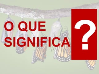 O QUE
SIGNIFICA
 
