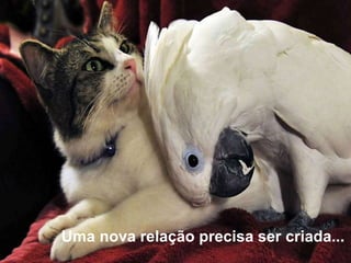 Uma nova relação precisa ser criada...
 