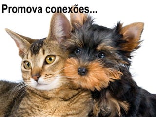 Promova conexões...
 