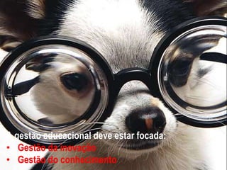 A gestão educacional deve estar focada:
• Gestão da inovação
• Gestão do conhecimento
 