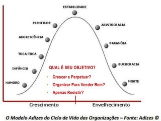 QUAL É SEU OBJETIVO?
• Crescer e Perpetuar?
• Organizar Para Vender Bem?
• Apenas Resistir?
 