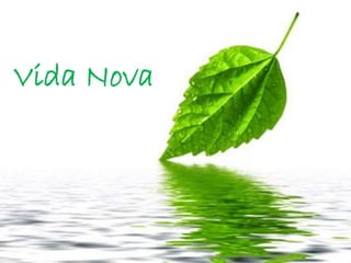 Vida Nova
 