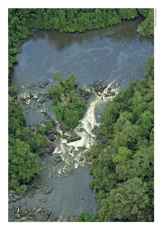 ©WWF-BRASIl/zIGKOCh
WWF_CursosUC.indb 118 31/08/2012 17:20:58
 