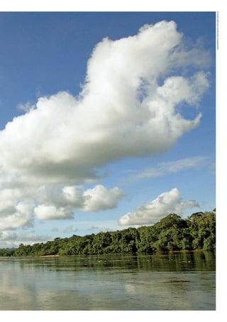 ©WWF-BRASIl/ADRIANOGAMBARINI
WWF_CursosUC.indb 11 31/08/2012 17:20:03
 