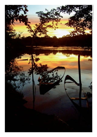 ©WWF-BRASIl/ADRIANOGAMBARINI
WWF_CursosUC.indb 12 31/08/2012 17:20:06
 