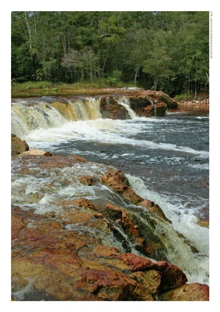 ©IPÊ-INSTITUTODEPESqUISASECOlóGICAS
WWF_CursosUC.indb 214 31/08/2012 17:21:42
 