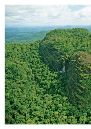 WWF_CursosUC.indb 280 31/08/2012 17:22:04
 