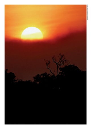 ©WWF-BRASIl/ADRIANOGAMBARINI
WWF_CursosUC.indb 306 31/08/2012 17:22:18
 