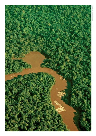 ©WWF-Brasil/adrianoGamBarini
WWF_CursosUC.indb 330 31/08/2012 17:34:12
 