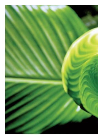 WWF_CursosUC.indb 368 31/08/2012 17:34:24
 