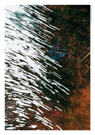 Gestão de Unidades de Conservação