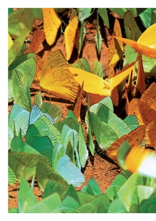 WWF_CursosUC.indb 40 31/08/2012 17:20:17
 