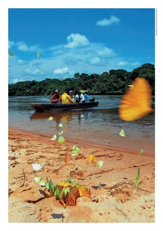 ©WWF-BRASIl/ADRIANOGAMBARINI
WWF_CursosUC.indb 42 31/08/2012 17:20:22
 