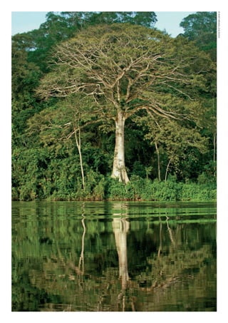 ©WWF-BRASIl/zIGKOCh
WWF_CursosUC.indb 56 31/08/2012 17:20:28
 