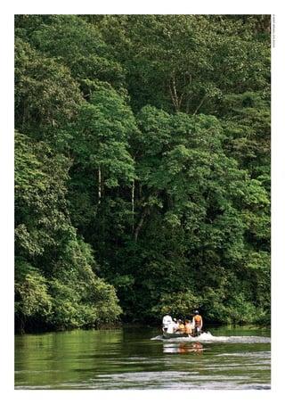 ©WWF-BRASIl/zIGKOCh
WWF_CursosUC.indb 76 31/08/2012 17:20:39
 