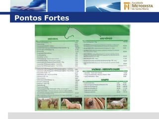 Pontos Fortes 