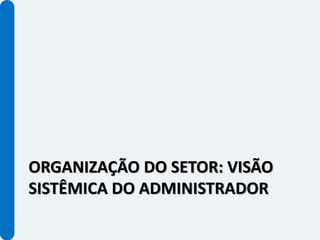 ORGANIZAÇÃO DO SETOR: VISÃO
SISTÊMICA DO ADMINISTRADOR
 