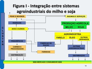 Figura I - Integração entre sistemas
         agroindustriais do milho e soja
    PEIXE E BOVINOS                                     INSUMOS E SERVIÇOS


       RESÍDUOS                                      PRODUÇÃO AGRÍCOLA
C                                                      MILHO      SOJA
      AVES E SUÍNOS
L
U                                                     AGROINDÚSTRIA
S                                                                    OUTROS
                                            FARELO        ÓLEO
T                                                                   DERIVADOS
E    FRIGORÍFICOS
                             FÁBRICAS DE
R                              RAÇÃO
       CARNES E                                             OUTRAS
     PROCESSADOS                                         AGROINDÚSTRIAS

                              FARINHAS
     DISTRIBUIÇÃO                                            DISTRIBUIÇÃO


                      $$$$ MERCADO CONSUMIDOR $$$$

                                                                          19
 