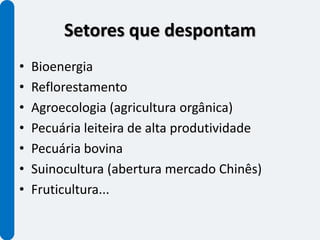 Setores que despontam
•   Bioenergia
•   Reflorestamento
•   Agroecologia (agricultura orgânica)
•   Pecuária leiteira de alta produtividade
•   Pecuária bovina
•   Suinocultura (abertura mercado Chinês)
•   Fruticultura...
 