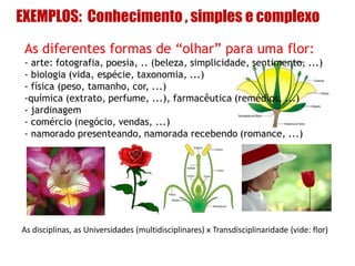 EXEMPLOS: Conhecimento , simples e complexo
As diferentes formas de “olhar” para uma flor:
- arte: fotografia, poesia, .. (beleza, simplicidade, sentimento, ...)
- biologia (vida, espécie, taxonomia, ...)
- física (peso, tamanho, cor, ...)
-química (extrato, perfume, ...), farmacêutica (remédios, ...)
- jardinagem
- comércio (negócio, vendas, ...)
- namorado presenteando, namorada recebendo (romance, ...)
As disciplinas, as Universidades (multidisciplinares) x Transdisciplinaridade (vide: flor)
 