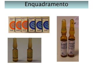 Enquadramento

 