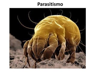 Parasitismo 
9 
 