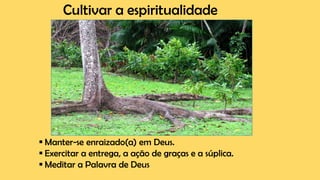 Cultivar a espiritualidade
▪ Manter-se enraizado(a) em Deus.
▪ Exercitar a entrega, a ação de graças e a súplica.
▪ Meditar a Palavra de Deus
 