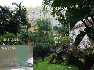 Relação com a sociedade Domingo na Casa de Rui Tartarugas levadas / deixadas 