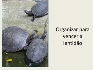 Pilares da gestão profissional (Peter Drucker)Capacitar pessoas para atuar em conjunto.Integrar a cultura local.Comprometer-se com metas comuns. Criar e utilizar indicadores de desempenho.Desenvolver valores compartilhados.Desenvolver e organizar o conhecimento -> inovação.Ancorar-se na comunicação e na responsabilidade.Buscar resultados múltiplos.Ter uma política de mudança: abandonar, aperfeiçoar, aprender com as conquistas. Inovar com continuidade.