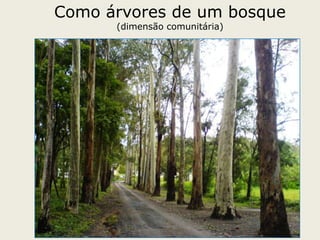 Momento teórico e prático: faz pensar e ajuda a agir com eficácia.