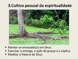 Monitoramento no início dos processos é sempre maior.Superar a falta de controle e a o controle estrito