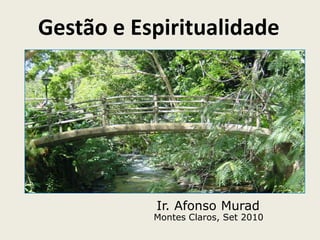 Gestão e Espiritualidade Ir. Afonso Murad Montes Claros, Set 2010 