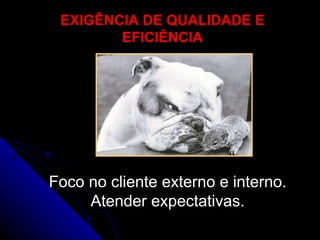 EXIGÊNCIA DE QUALIDADE E EFICIÊNCIA Foco no cliente externo e interno. Atender expectativas. 