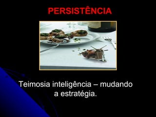PERSISTÊNCIA Teimosia inteligência – mudando a estratégia. 