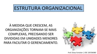 ESTRUTURA ORGANIZACIONAL
À MEDIDA QUE CRESCEM, AS
ORGANIZAÇÕES TORNAM-SE MAIS
COMPLEXAS, PRECISANDO SER
DIVIDIDAS EM UNIDADES MENORES
PARA FACILITAR O GERENCIAMENTO.
Prof. Eliseu Fortolan │ CRC 1SP296980
 
