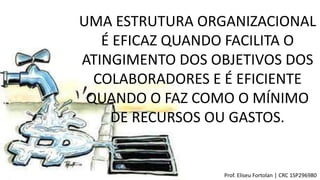 UMA ESTRUTURA ORGANIZACIONAL
É EFICAZ QUANDO FACILITA O
ATINGIMENTO DOS OBJETIVOS DOS
COLABORADORES E É EFICIENTE
QUANDO O FAZ COMO O MÍNIMO
DE RECURSOS OU GASTOS.
Prof. Eliseu Fortolan │ CRC 1SP296980
 