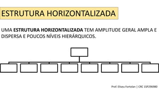 ESTRUTURA HORIZONTALIZADA
UMA ESTRUTURA HORIZONTALIZADA TEM AMPLITUDE GERAL AMPLA E
DISPERSA E POUCOS NÍVEIS HIERÁRQUICOS.
Prof. Eliseu Fortolan │ CRC 1SP296980
 
