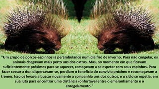 "Um grupo de porcos-espinhos ia perambulando num dia frio de inverno. Para não congelar, os
animais chegavam mais perto uns dos outros. Mas, no momento em que ficavam
suficientemente próximos para se aquecer, começavam a se espetar com seus espinhos. Para
fazer cessar a dor, dispersavam-se, perdiam o benefício do convívio próximo e recomeçavam a
tremer. Isso os levava a buscar novamente a companhia uns dos outros, e o ciclo se repetia, em
sua luta para encontrar uma distância confortável entre o emaranhamento e o
enregelamento."
 