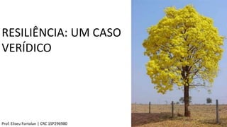 RESILIÊNCIA: UM CASO
VERÍDICO
Prof. Eliseu Fortolan │ CRC 1SP296980
 