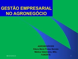 GESTÃO EMPRESARIAL
  NO AGRONEGÓCIO




                        AGRONEGÓCIOS
                   Silene Maria Prates Barreto
                    Médica Veterinária, MSc.
  06/12/12 01:31
                           FUNORTE               1
 