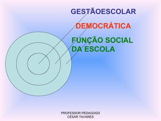 GESTÃOESCOLAR

      DEMOCRÁTICA
    FUNÇÃO SOCIAL
    DA ESCOLA




PROFESSOR PEDAGOGO
   CÉSAR TAVARES
 
