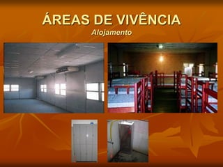 ÁREAS DE VIVÊNCIA
Alojamento
 
