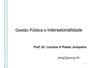 Gestão Pública e I ntersetorialidade  [email_address] Prof. Dr. Luciano A Prates Junqueira 